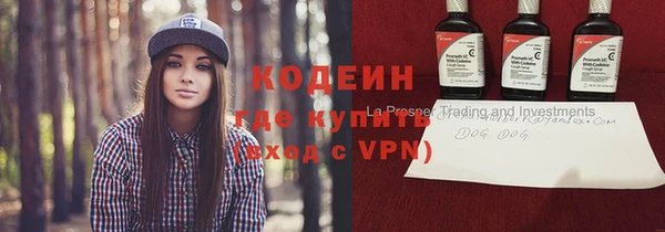 хмурый Богородск